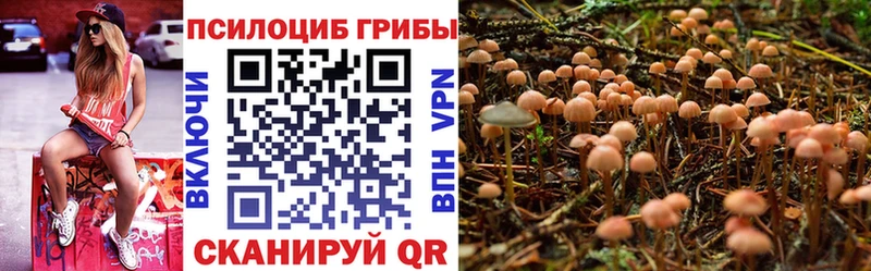 Псилоцибиновые грибы Cubensis  Соль-Илецк 